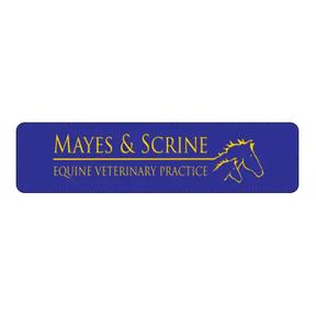 Mayes & Scrine Equine Vets logo