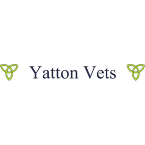 Yatton Vets logo
