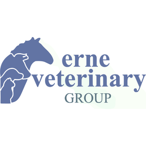 Erne Veterinary Group - Enniskillen logo