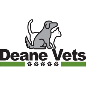 Deane Vets logo