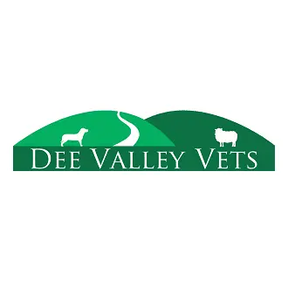 Dee Valley Vets - St Martins logo