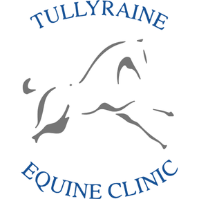 Tullyraine Equine Clinic logo
