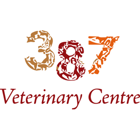 387 Vets logo