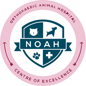 Aceso Vet Clinic logo