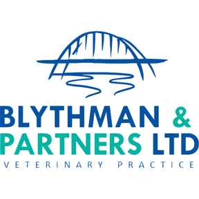 Blythman and Partners - Gateshead logo