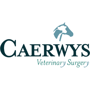 Caerwys Veterinary Surgery - Rhyl logo