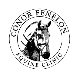 The Acorns Equine Clinic - Chelmsford logo