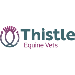 Thistle Equine vets - Brown Egg logo