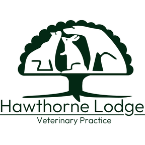 Hawthorne Lodge Veterinary Practice logo