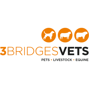 3 Bridges Vets logo