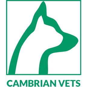 Cambrian Vets logo