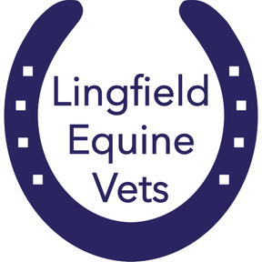 Lingfield Equine Vets - Felbridge logo