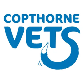 Copthorne Vets logo