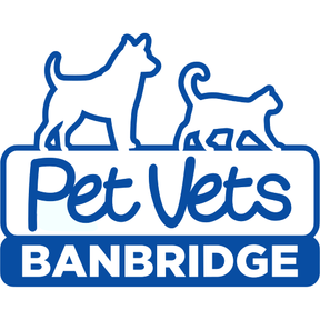 Banbridge Pet Vets logo