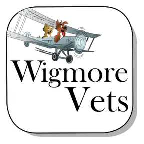 Wigmore Vet Centre logo