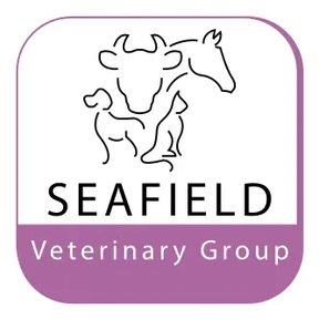 Seafield Vet Group - Banff logo