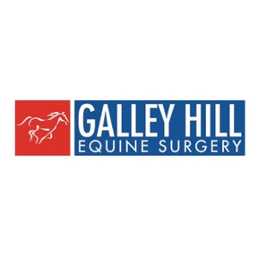 Galley Hill Equine Surgery logo