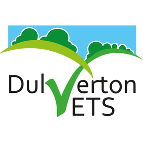 Dulverton Veterinary Practice logo