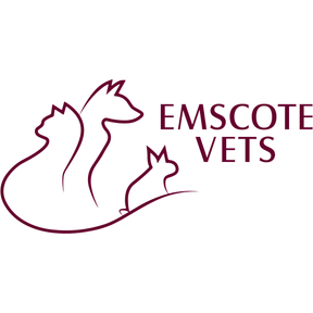 Emscote Vets logo
