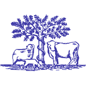 Bredy Veterinary Centre logo
