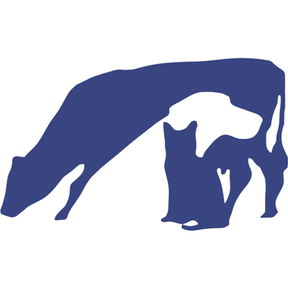 Lisburn Vets - Lisburn logo