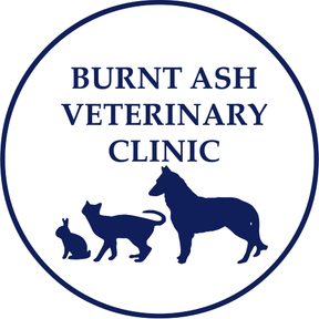 Burnt Ash Veterinary Clinic logo