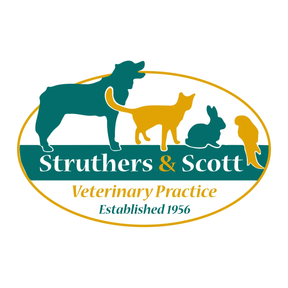 Struthers & Scott logo