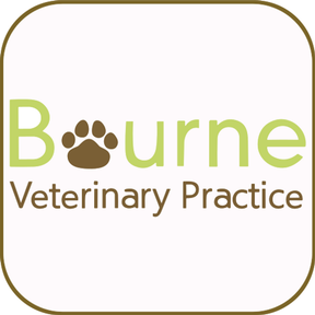 Bourne Veterinary Practice, Bekesbourne logo