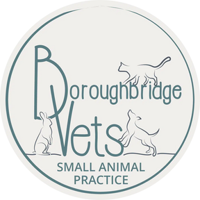 Boroughbridge Vets logo