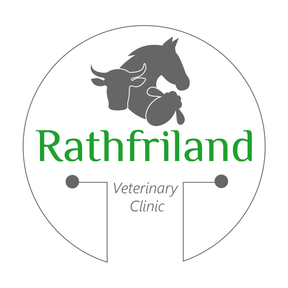 Rathfriland Veterinary Clinic logo