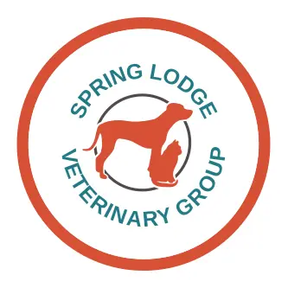 Spring Lodge Vets - Tiptree logo