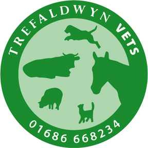 Trefaldwyn Veterinary Clinic - Llanfair Caereinion logo