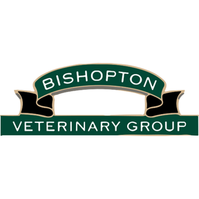 Bishopton Vets - Middleham logo