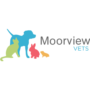 Moorview Vets - Gosforth logo