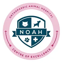 Noah Vet logo