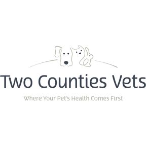Two Counties Vets - Bessacarr logo