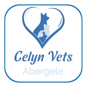 Celyn Vets logo