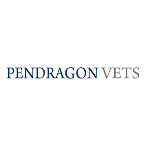Pendragon Vets logo