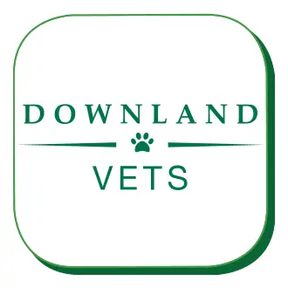 Downland Vets - Havant logo