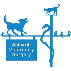 Ashcroft Veterinary Surgery logo