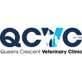 Queen's Crescent Veterinary Clinic logo