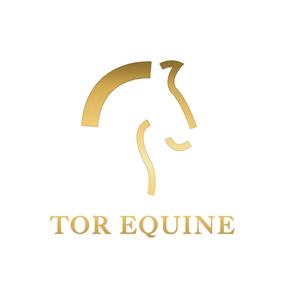 Tor Equine Vets logo