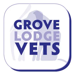 Grove Lodge Vets - Durrington logo