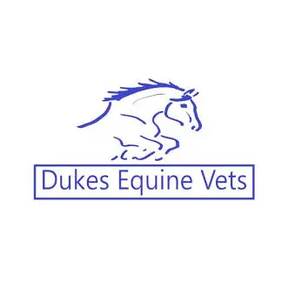 Dukes Equine Vets logo