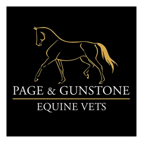 PG Equine Vets logo
