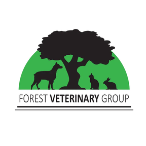 Forest Vet Group - Swansea logo