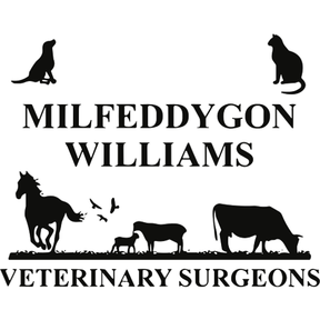Williams Vets - Barmouth logo