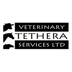 Tethera Vets logo