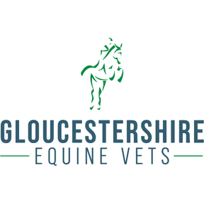 Gloucestershire Equine Vets logo