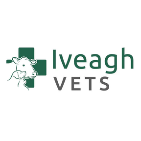 Iveagh Veterinary Services logo